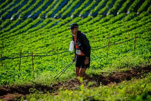 BIB: 
                            <button type="button" onclick="openModal(19160472)" class="btn btn-primary btn-sm float-right btn-popup" data-toggle="modal" data-target=".modal-high-quality">
                        <i class="fas fa-shopping-cart"></i> Add to Cart
                    </button>
                                            <button type="button" onclick="isThisMe(19160472, true)" class="btn btn-success btn-sm float-right btn-popup btn-isme hidden" data-toggle="tooltip" data-placement="bottom" title="นี่คือรูปของคุณใช่ไหม คลิกที่นี่เพื่อเอาเข้าอัลบั้ม">
                        <i class="fas fa-plus"></i> Add to album
                    </button>
                    <button type="button" onclick="isThisMe(19160472, false)" class="btn btn-warning btn-sm float-right btn-popup btn-isnotme hidden">
                        <i class="fas fa-ban"></i> Remove from album
                    </button>